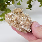  Star Mica Metamorphic Rock with Quartz | 71.3g | Muscovite | Brazil | SO24 4