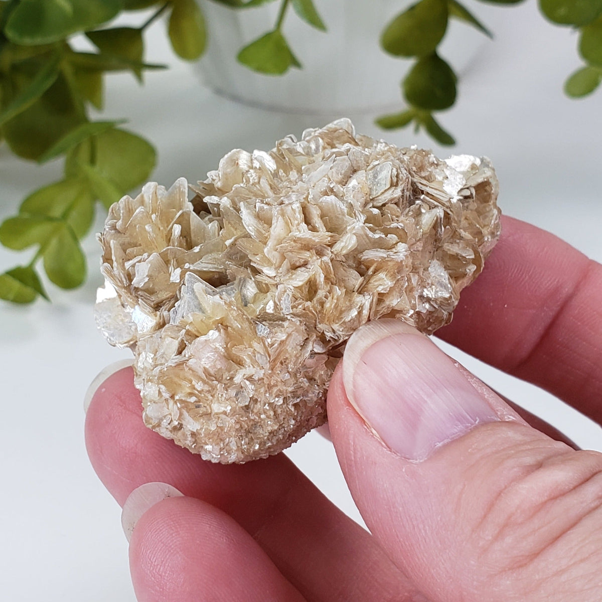  Star Mica Metamorphic Rock with Quartz | 71.3g | Muscovite | Brazil | SO24 5