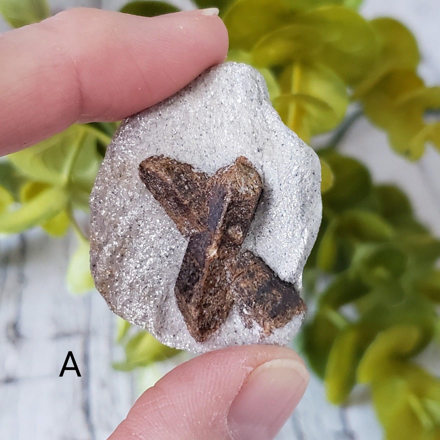  Staurolite | Fairy Cross Crystal | Russia 