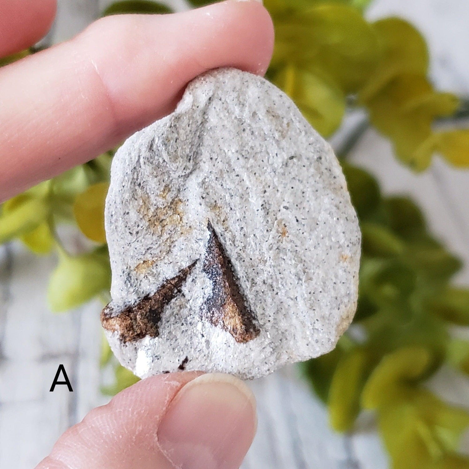  Staurolite | Fairy Cross Crystal | Russia 1