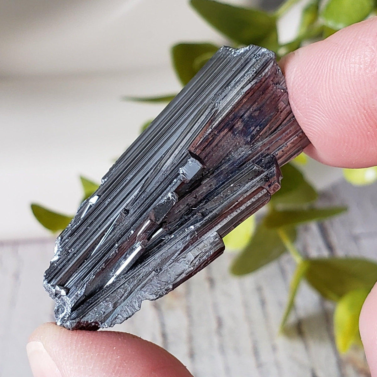  Stibnite Crystal Spray | Shiny Metallic Mineral | 19 Gr | Xikuangshan Mine, China | SO24 