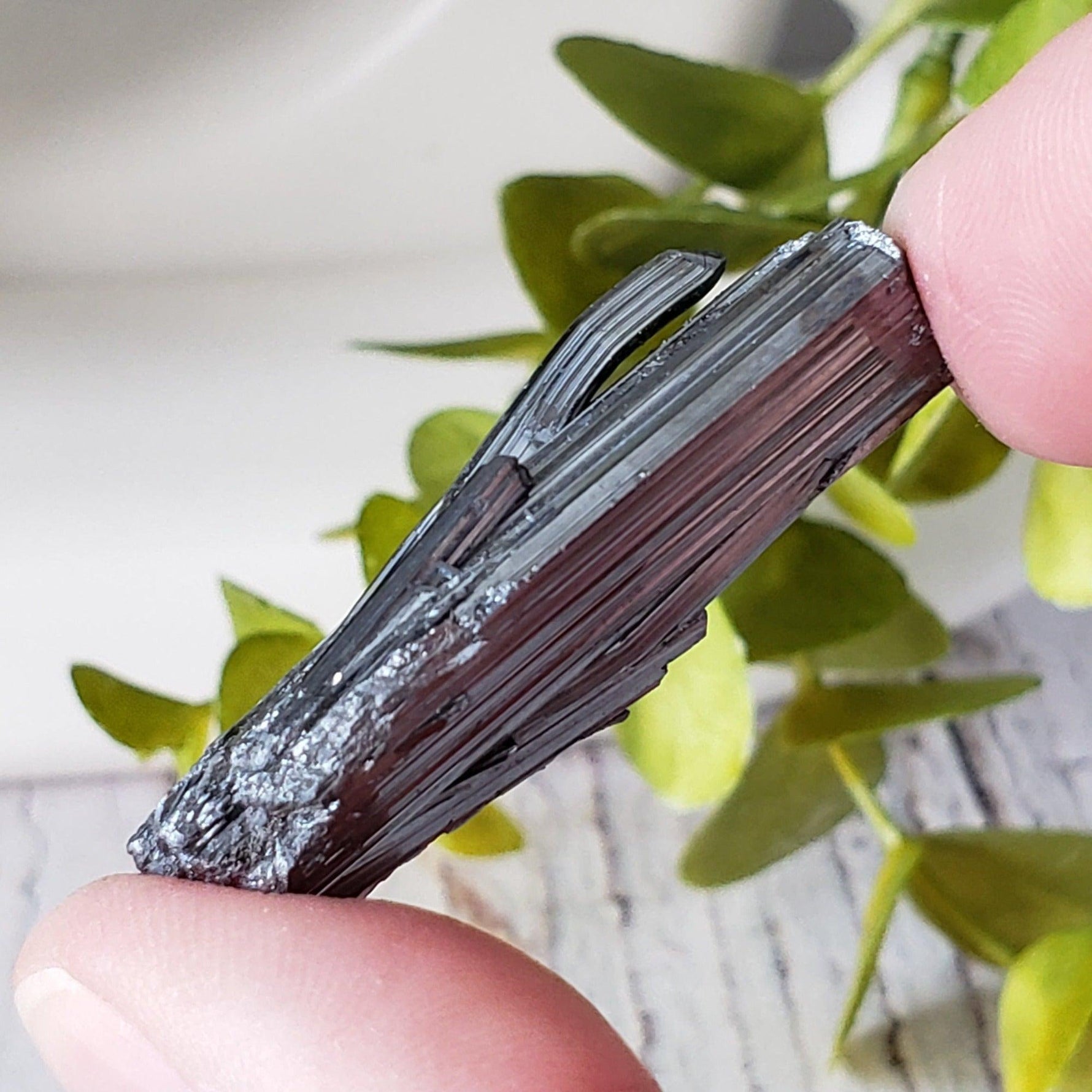  Stibnite Crystal Spray | Shiny Metallic Mineral | 19 Gr | Xikuangshan Mine, China | SO24 2