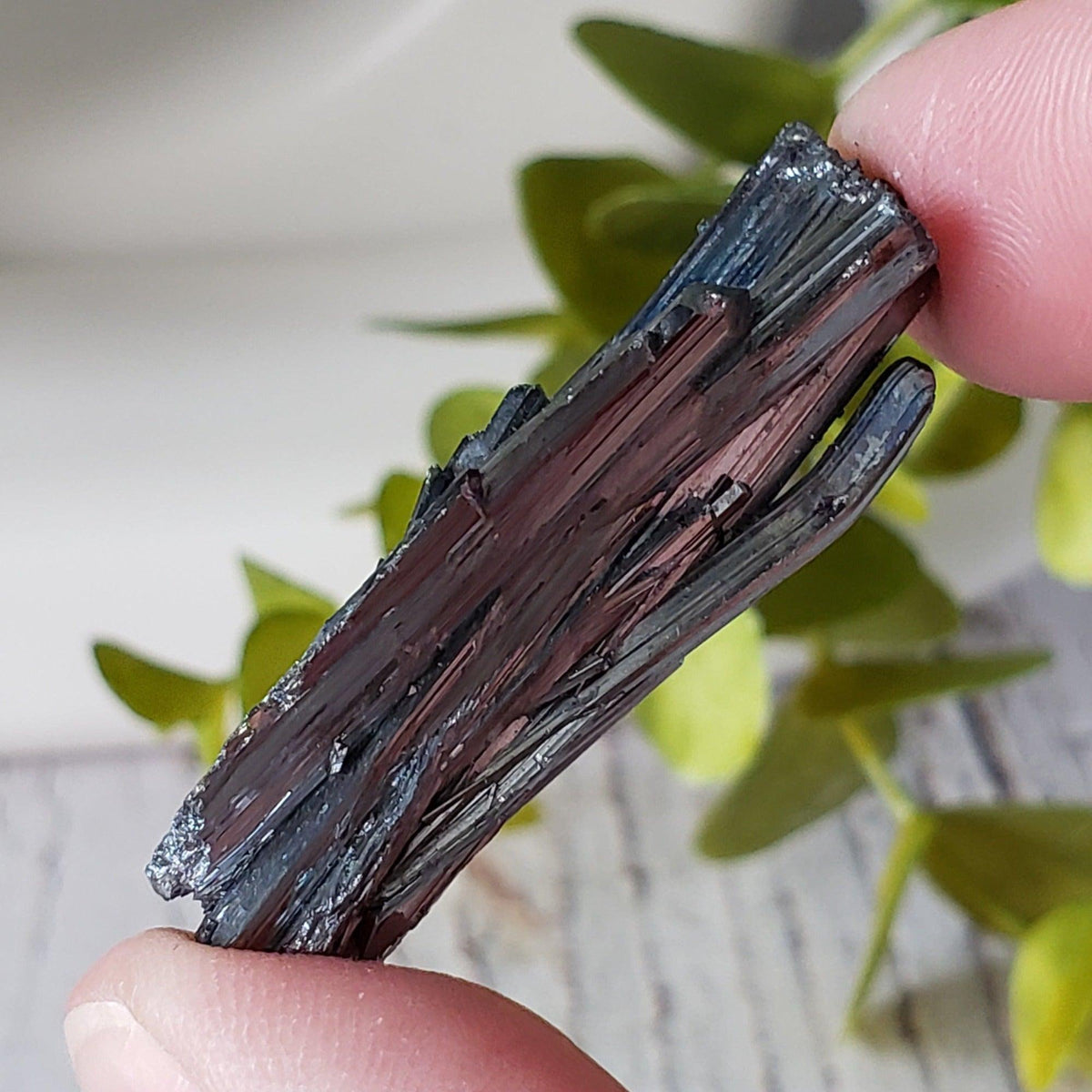  Stibnite Crystal Spray | Shiny Metallic Mineral | 19 Gr | Xikuangshan Mine, China | SO24 3