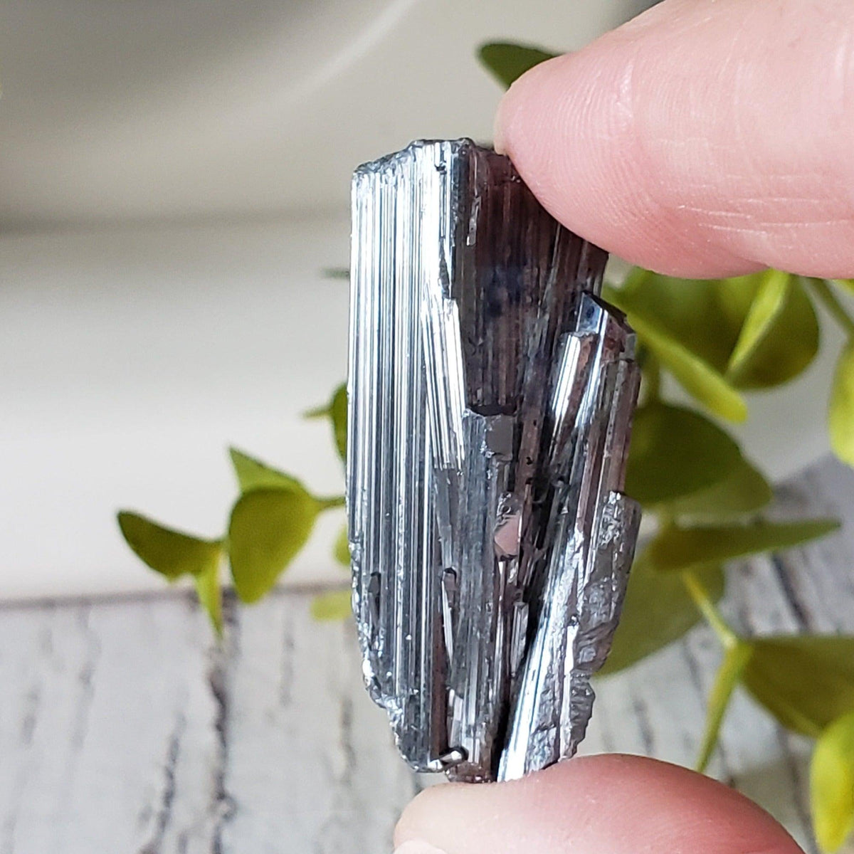  Stibnite Crystal Spray | Shiny Metallic Mineral | 19 Gr | Xikuangshan Mine, China | SO24 6