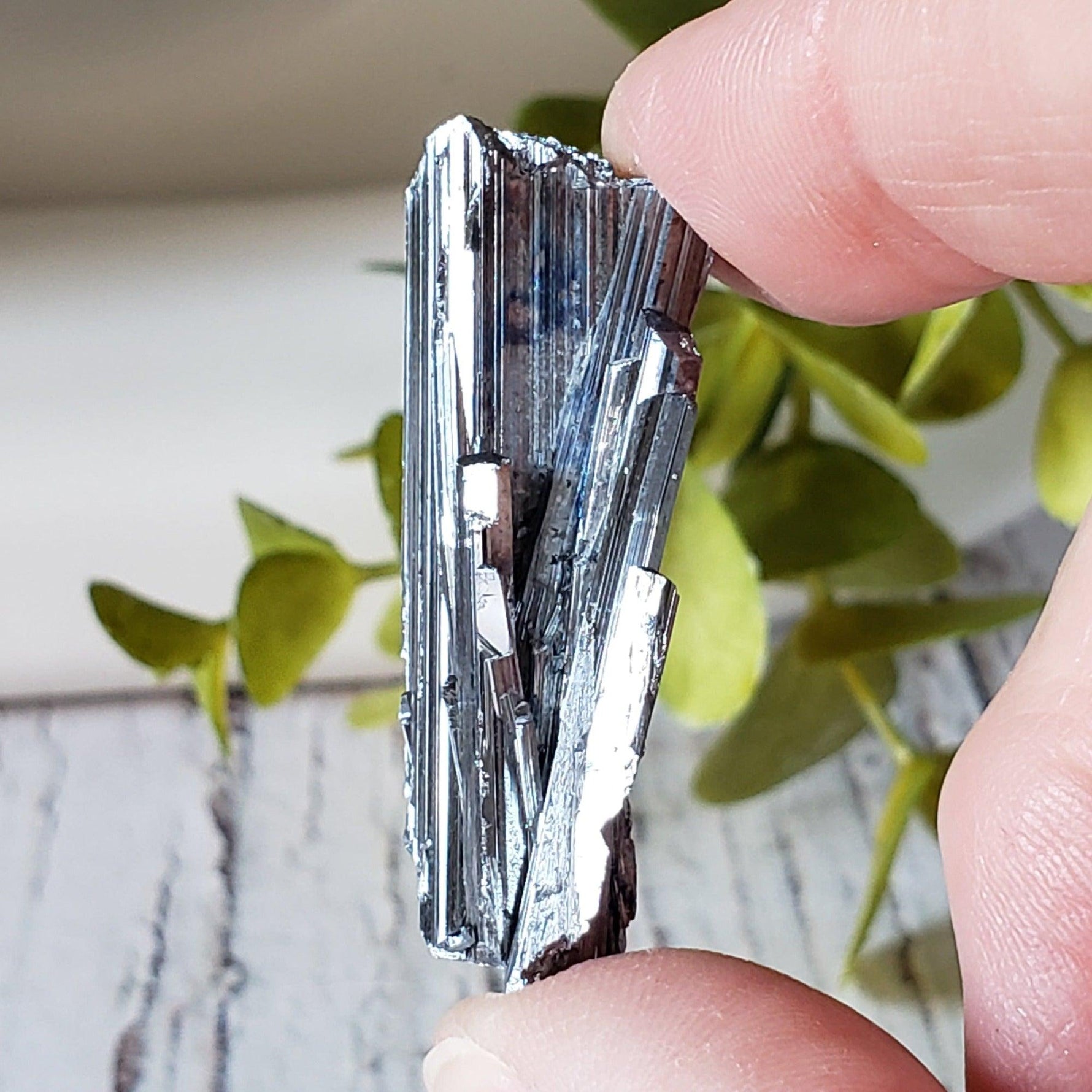  Stibnite Crystal Spray | Shiny Metallic Mineral | 19 Gr | Xikuangshan Mine, China | SO24 7