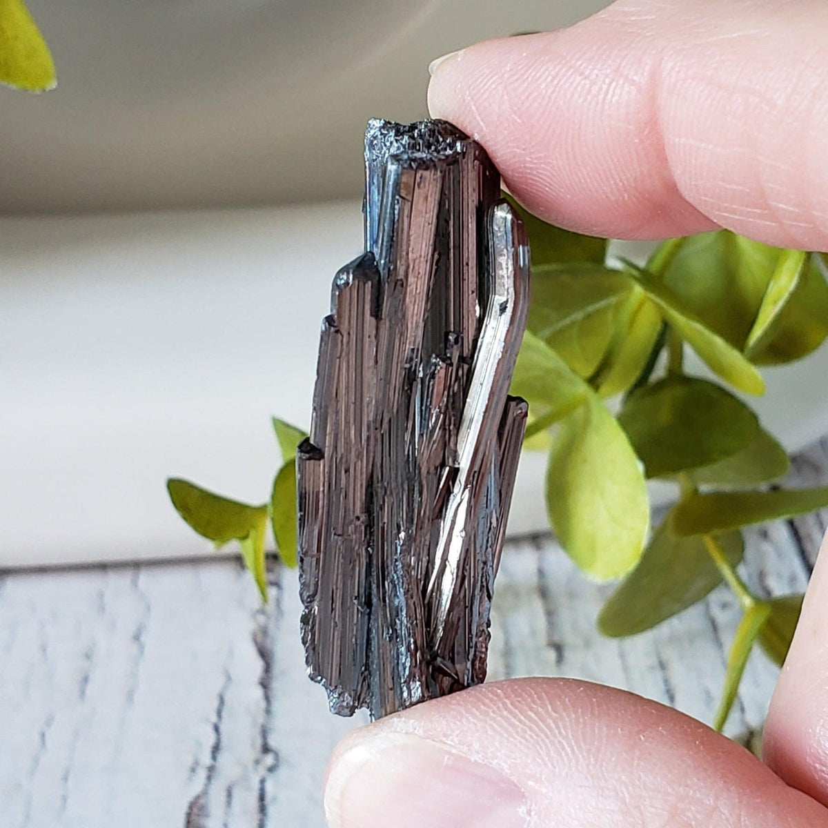  Stibnite Crystal Spray | Shiny Metallic Mineral | 19 Gr | Xikuangshan Mine, China | SO24 8