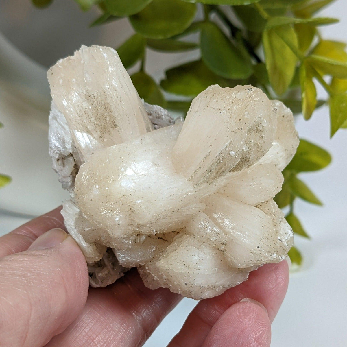  Stilbite Crystal | 109 grams | Jalgaon, India 6