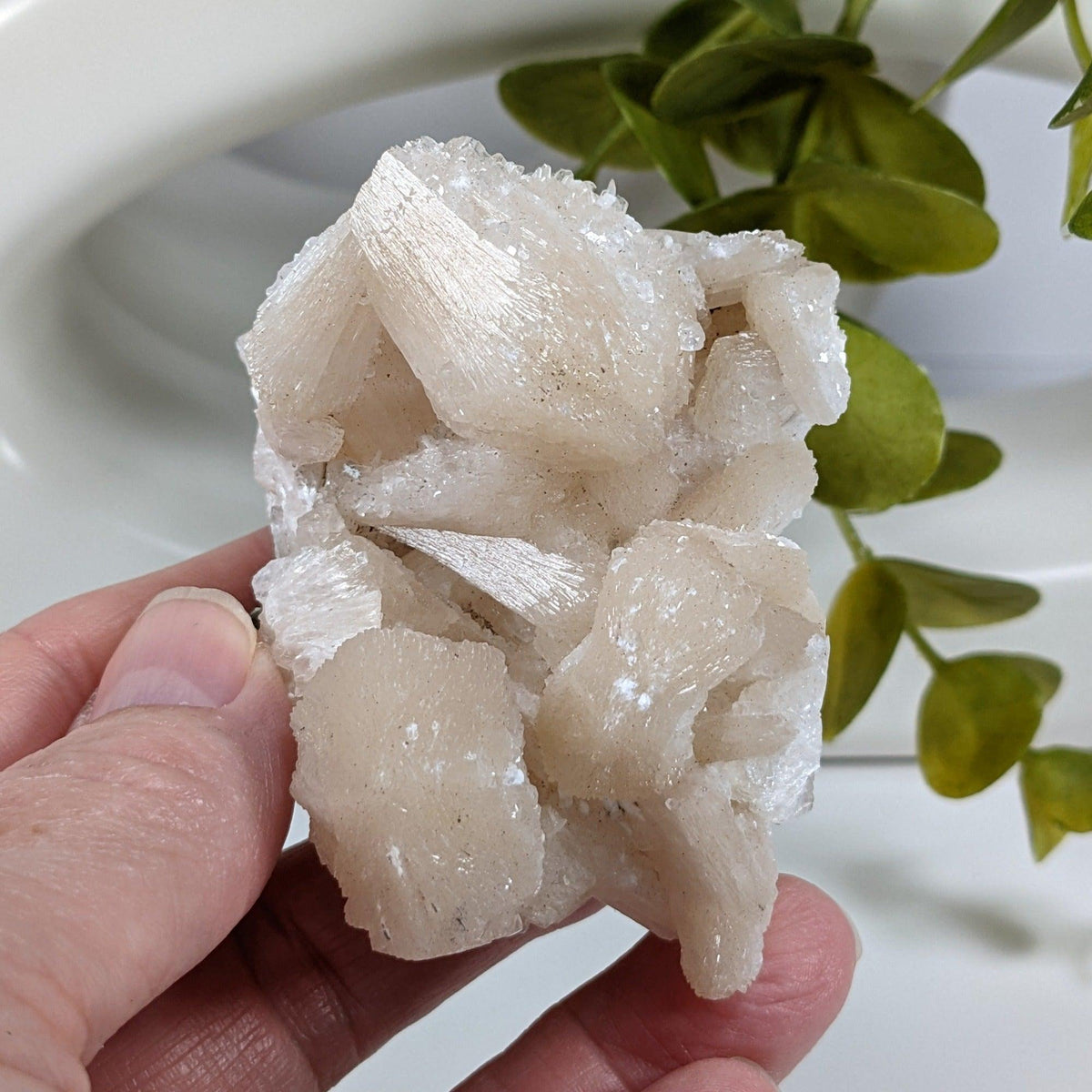  Stilbite Crystal | 111 grams | Jalgaon, India 7
