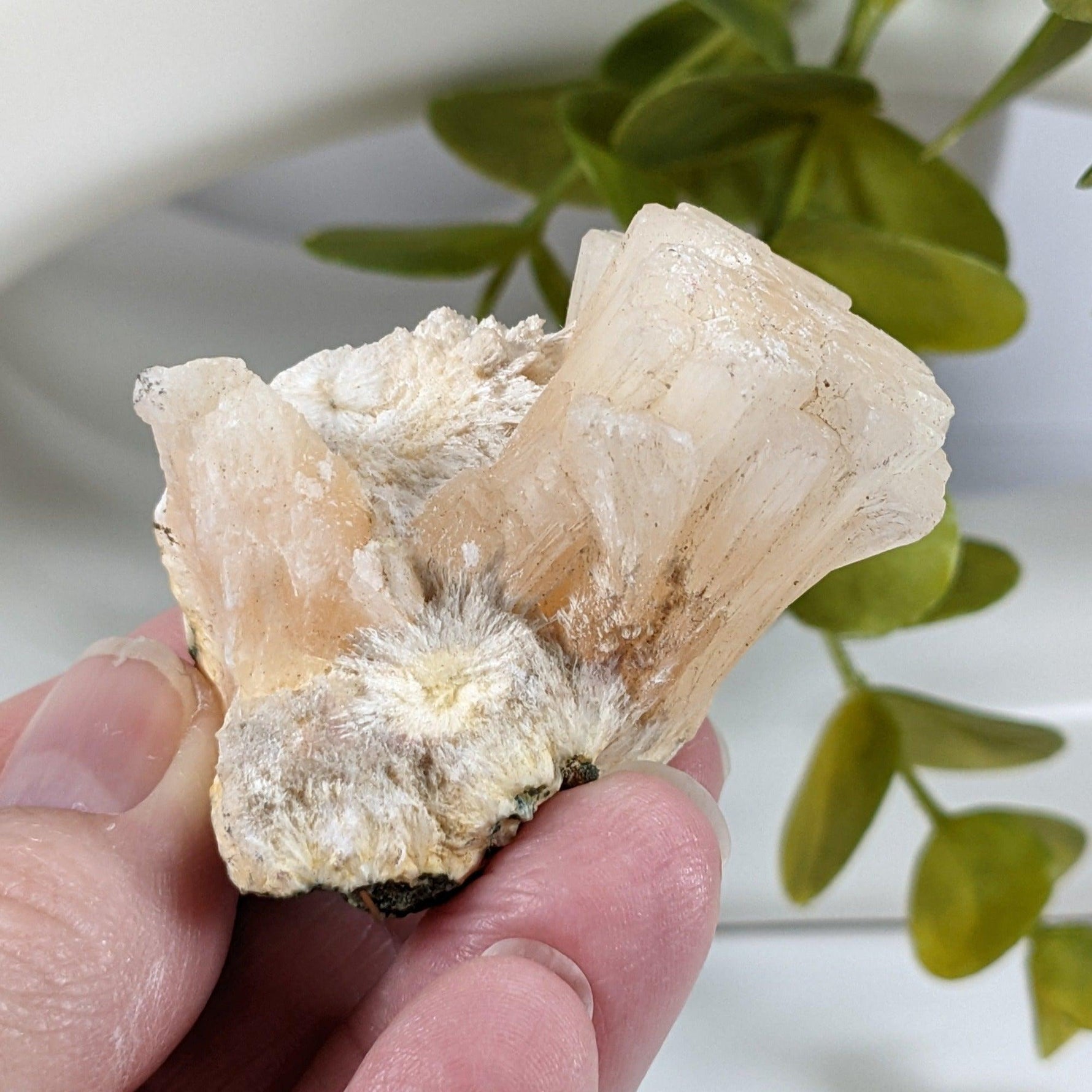  Stilbite Crystal | 51 gr | Jalgaon, India 3