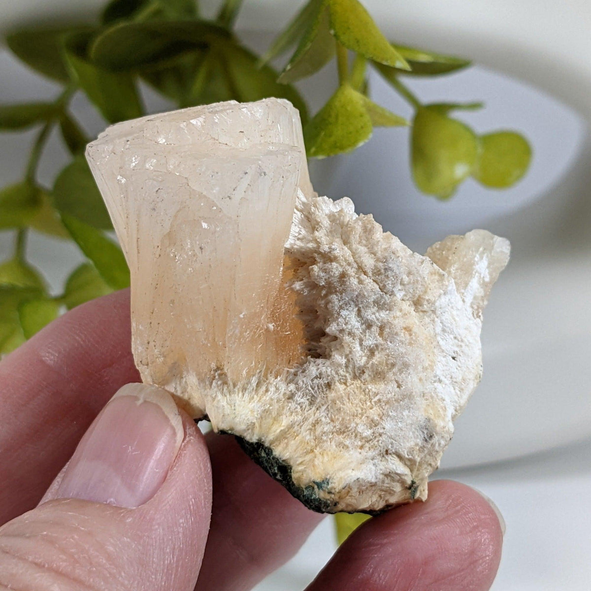  Stilbite Crystal | 51 gr | Jalgaon, India 4