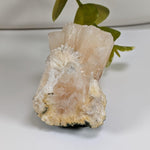  Stilbite Crystal | 51 gr | Jalgaon, India 5