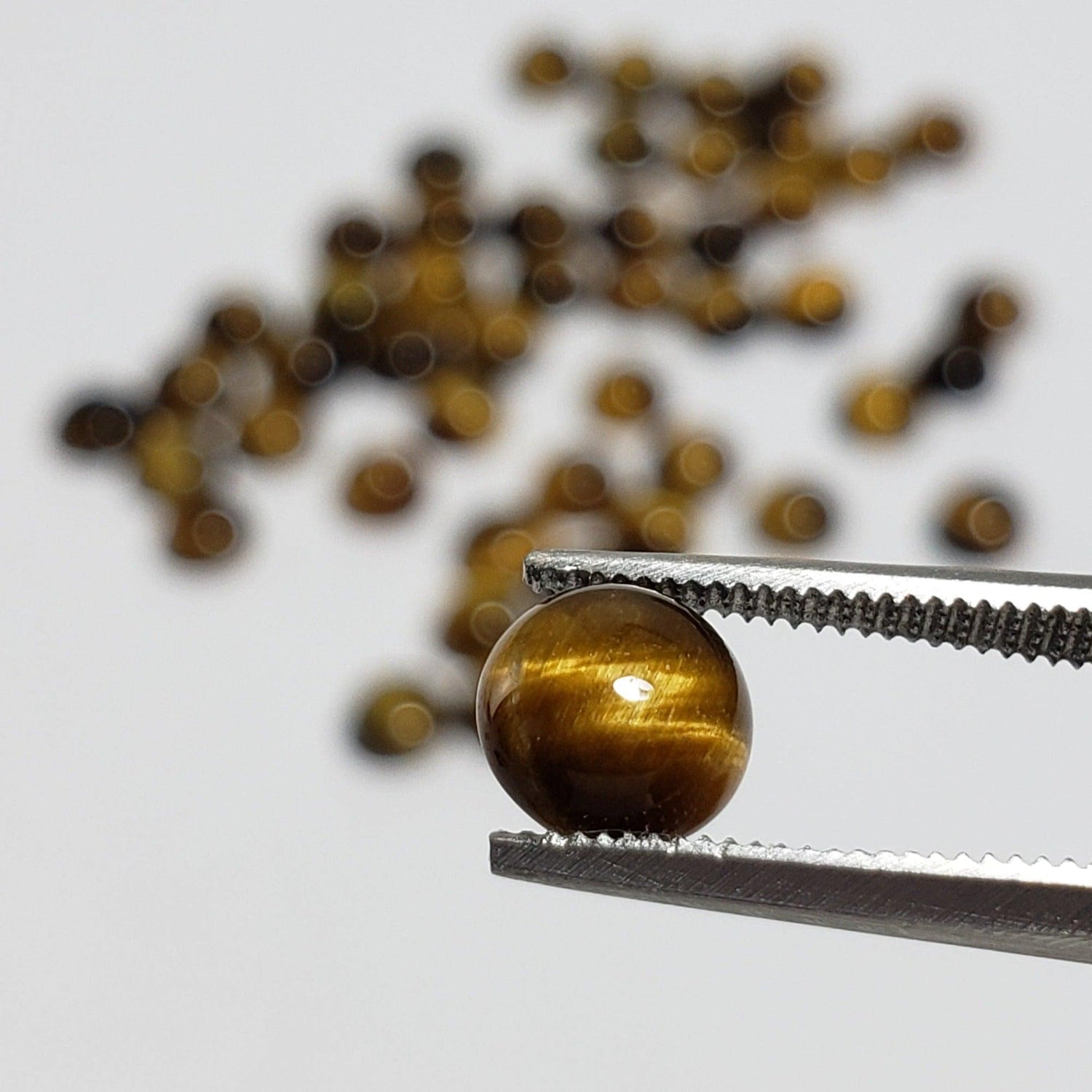  Tigers Eye | Round Cabochon | Golden Brown | 6mm 