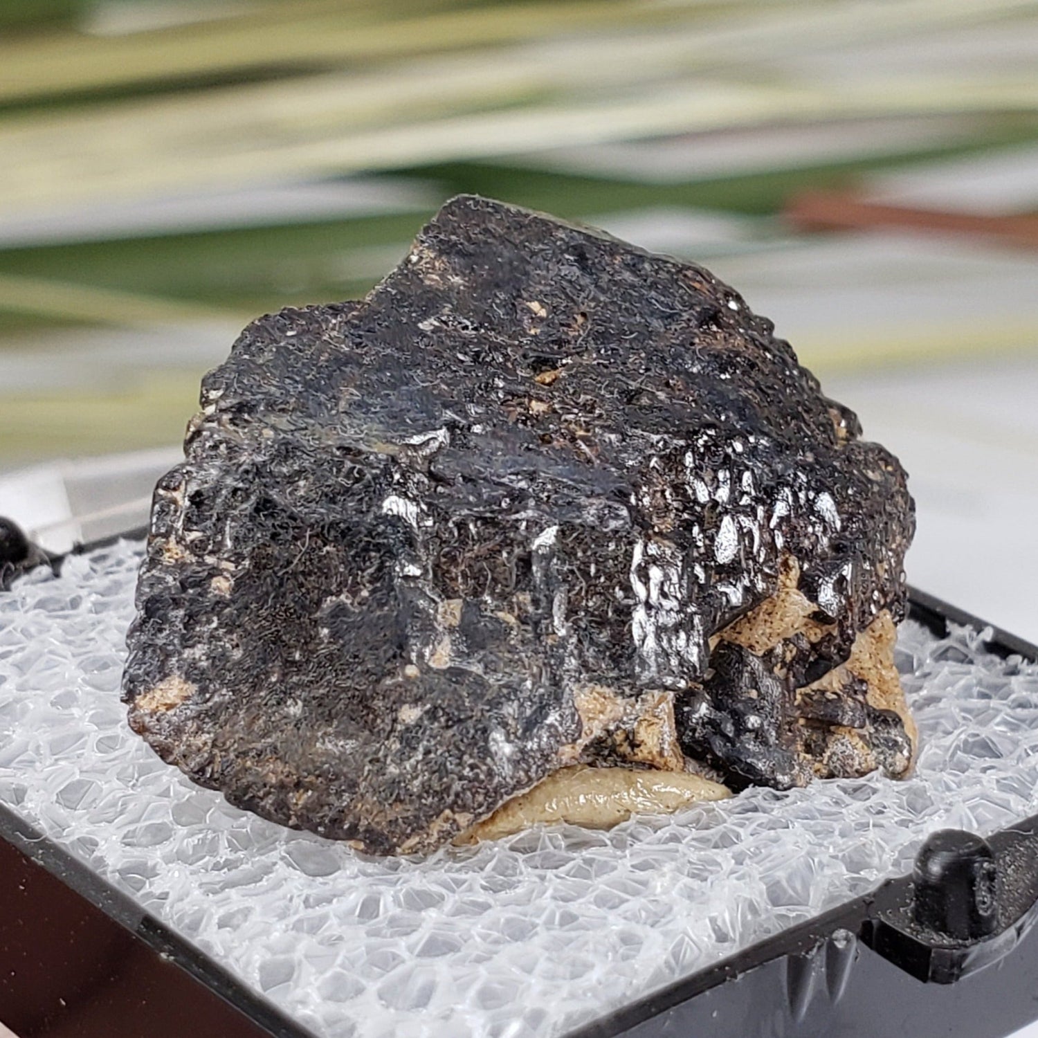  Titanite  var. Sphene | Perky Box Thumbnail Specimen | Bancroft, Ontario, Canada 