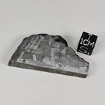  Toluca Meteorite | 43 grams | Etched slice | Iron IAB-sLL | Xiquipilco, Mexico | SO24 