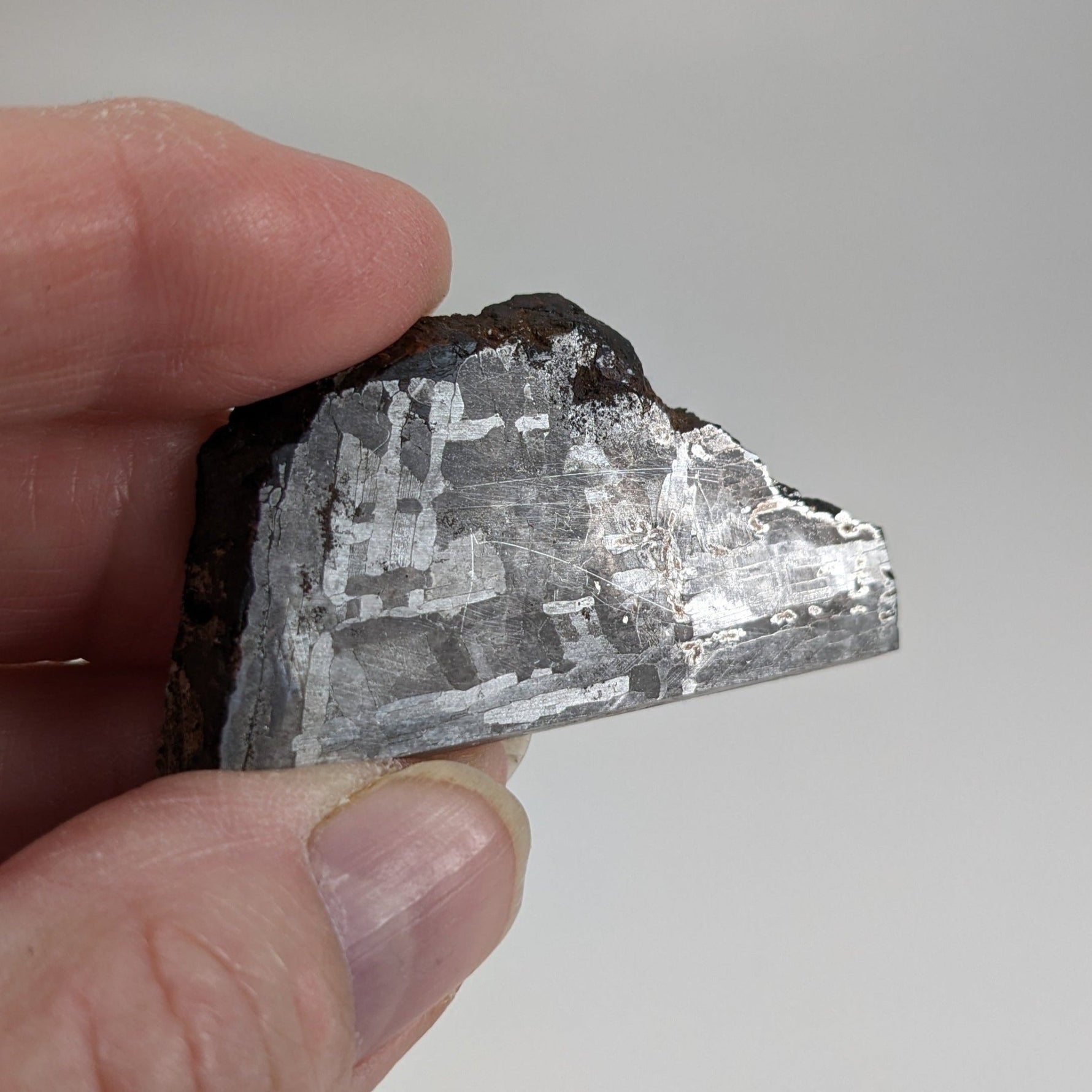  Toluca Meteorite | 43 grams | Etched slice | Iron IAB-sLL | Xiquipilco, Mexico | SO24 1