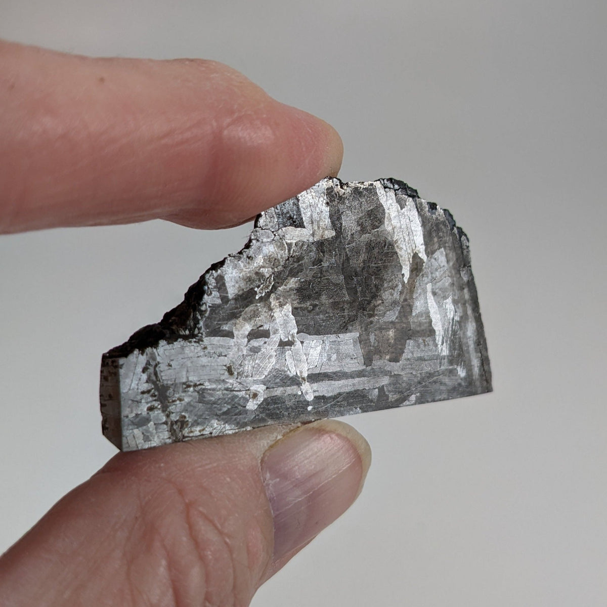  Toluca Meteorite | 43 grams | Etched slice | Iron IAB-sLL | Xiquipilco, Mexico | SO24 2