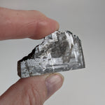 Toluca Meteorite | 43 grams | Etched slice | Iron IAB-sLL | Xiquipilco, Mexico | SO24 2