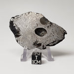  Toluca Meteorite | 65.3 grams | Etched Slice | Iron IAB-sLL | Xiquipilco, Mexico | SO24 