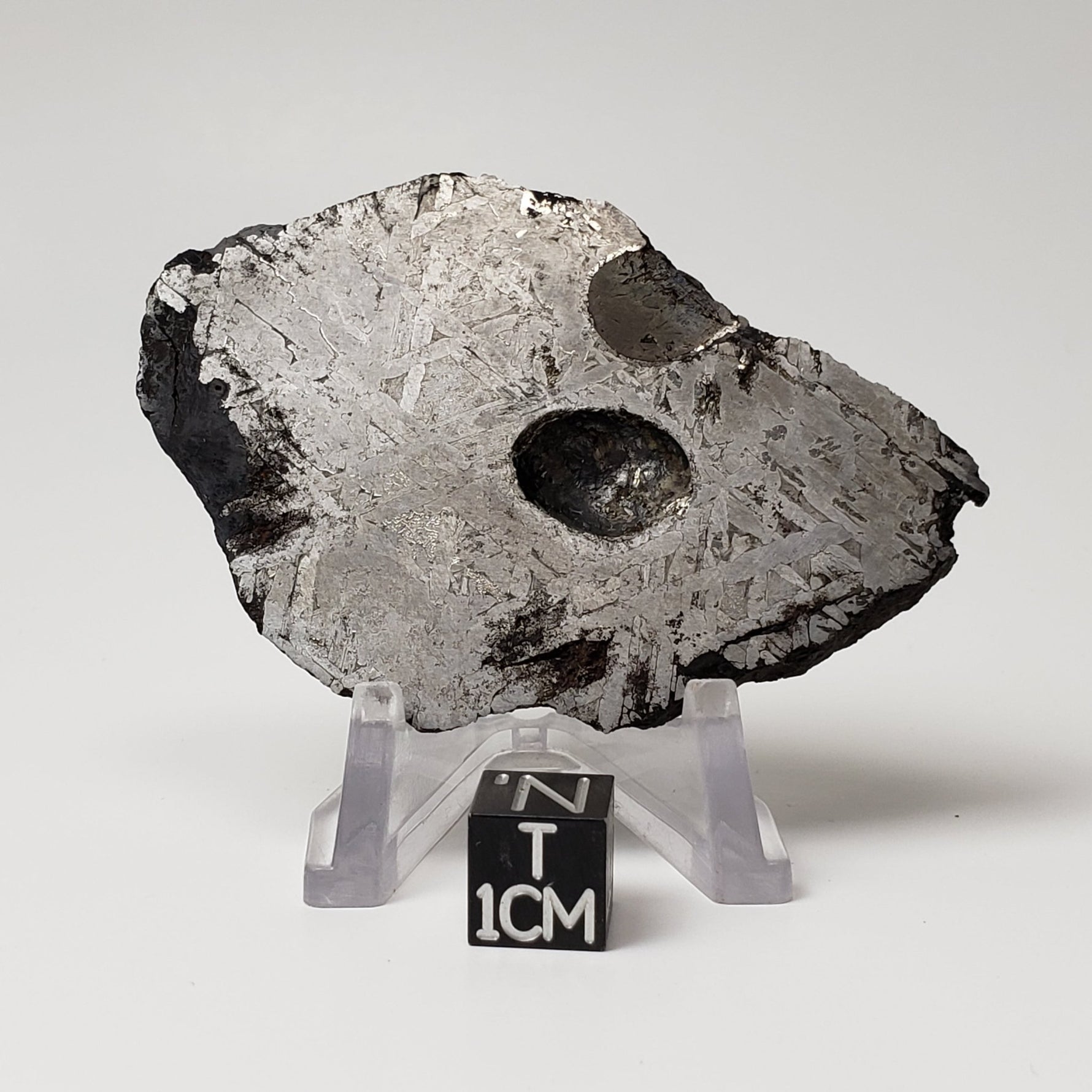  Toluca Meteorite | 65.3 grams | Etched Slice | Iron IAB-sLL | Xiquipilco, Mexico | SO24 