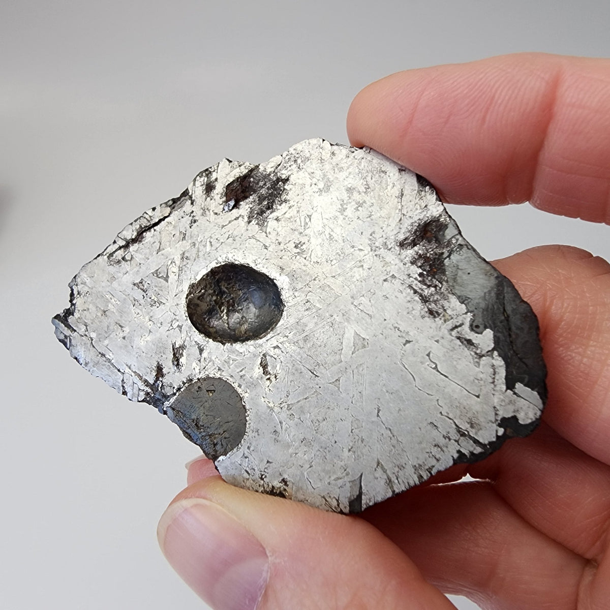  Toluca Meteorite | 65.3 grams | Etched Slice | Iron IAB-sLL | Xiquipilco, Mexico | SO24 2