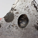  Toluca Meteorite | 65.3 grams | Etched Slice | Iron IAB-sLL | Xiquipilco, Mexico | SO24 3