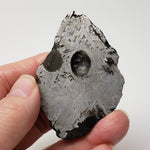  Toluca Meteorite | 65.3 grams | Etched Slice | Iron IAB-sLL | Xiquipilco, Mexico | SO24 4
