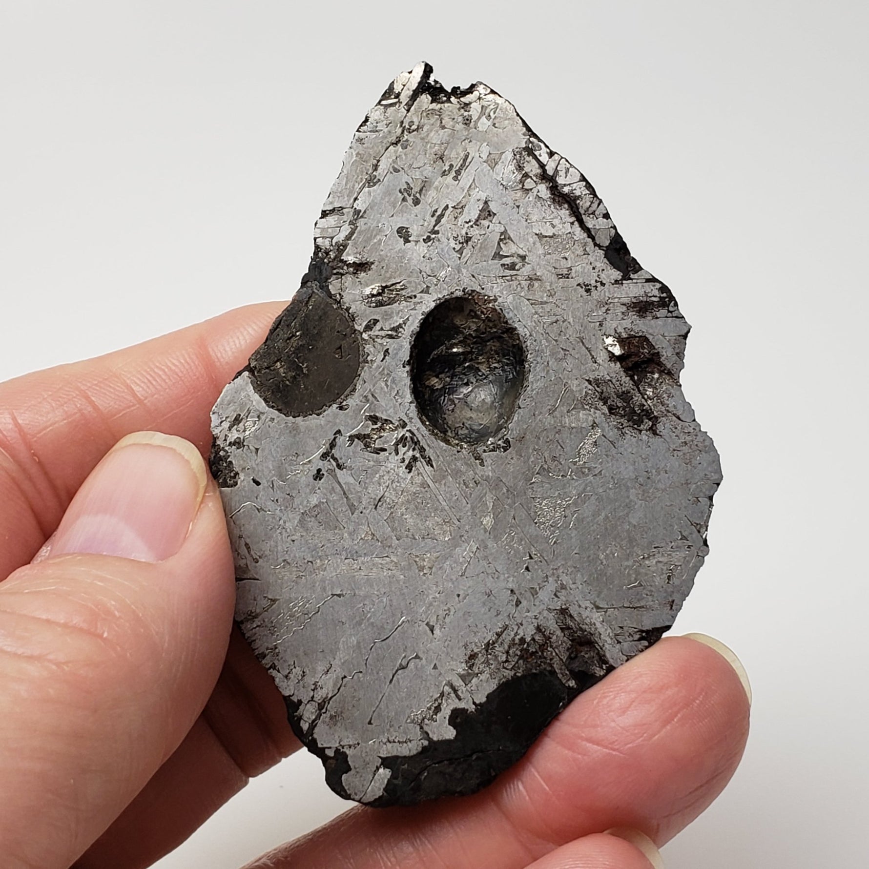  Toluca Meteorite | 65.3 grams | Etched Slice | Iron IAB-sLL | Xiquipilco, Mexico | SO24 4