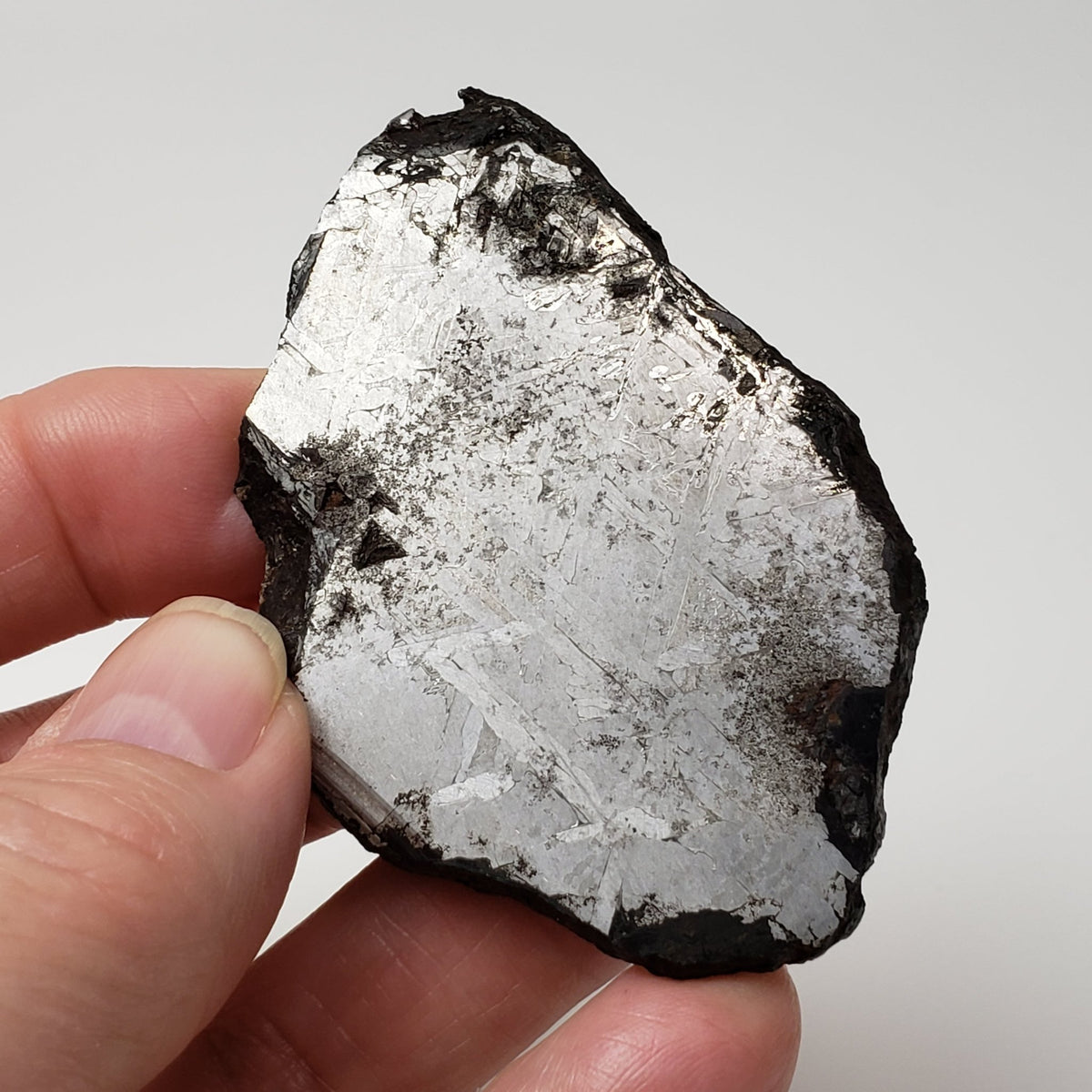  Toluca Meteorite | 65.3 grams | Etched Slice | Iron IAB-sLL | Xiquipilco, Mexico | SO24 5