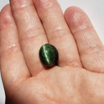 Tourmaline Cats Eye  | Oval Cabochon | Forest Green | 15.3x13.1mm 14.46ct 5