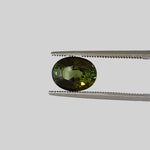 Tourmaline | Oval Cut | Forest Green | 9.5x7.5mm 2.68ct 