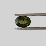  Tourmaline | Oval Cut | Forest Green | 9.5x7.5mm 2.68ct 1