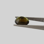  Tourmaline | Oval Cut | Forest Green | 9.5x7.5mm 2.68ct 3