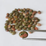  Unakite | Oval Cabochon | Green With Red | 7X5mm 