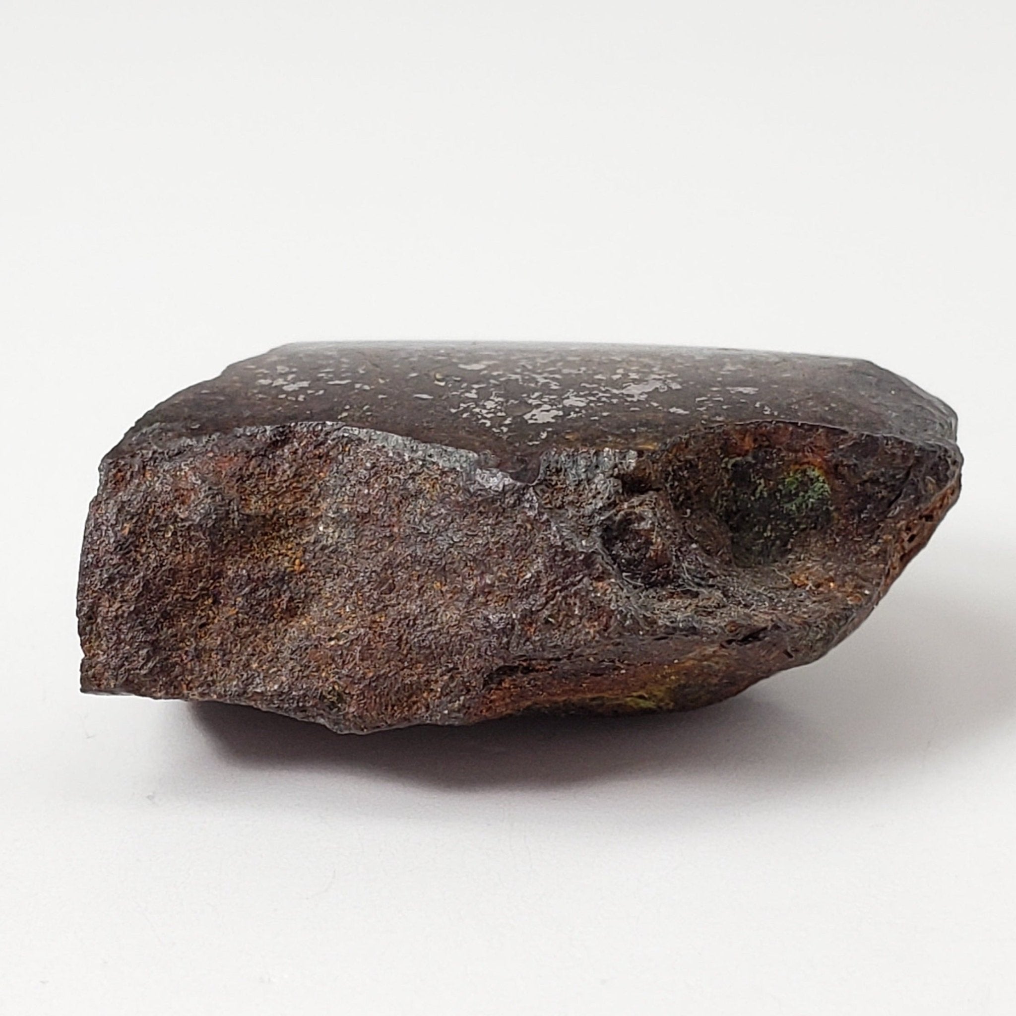 Vaca Muerta Meteorite | 10.42 Grams | End Cut | Mesosiderite A1 | Famo