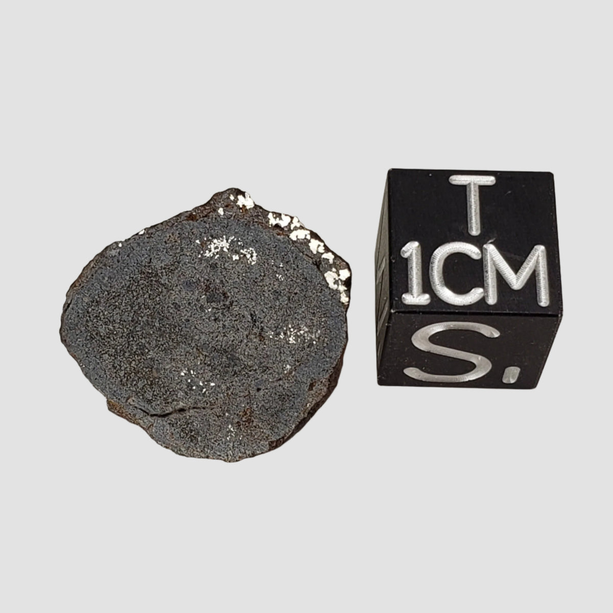  Vaca Muerta Meteorite | 2.76 Grams | End Cut | Mesosiderite A1 | Famous | Chile 