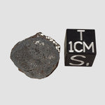  Vaca Muerta Meteorite | 2.76 Grams | End Cut | Mesosiderite A1 | Famous | Chile 