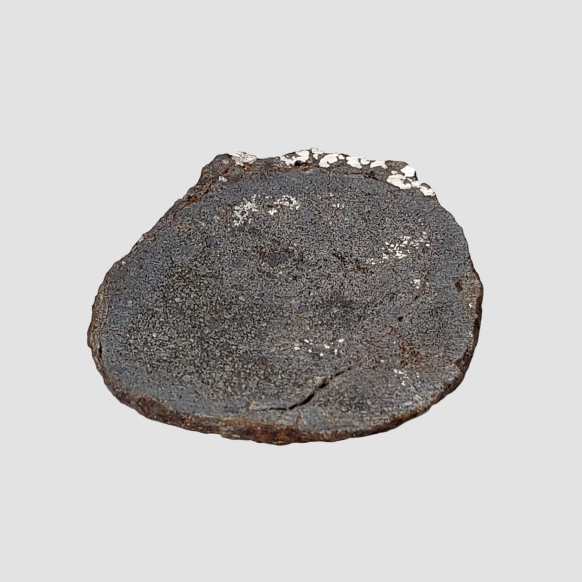  Vaca Muerta Meteorite | 2.76 Grams | End Cut | Mesosiderite A1 | Famous | Chile 2