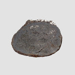  Vaca Muerta Meteorite | 2.76 Grams | End Cut | Mesosiderite A1 | Famous | Chile 2
