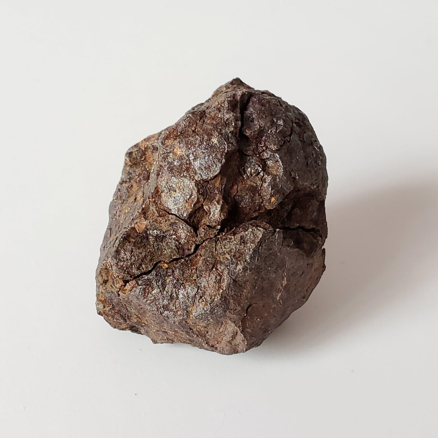  Vaca Muerta Meteorite | 34 Grams | Individual | Mesosiderite A1 | Famous | Chile 1