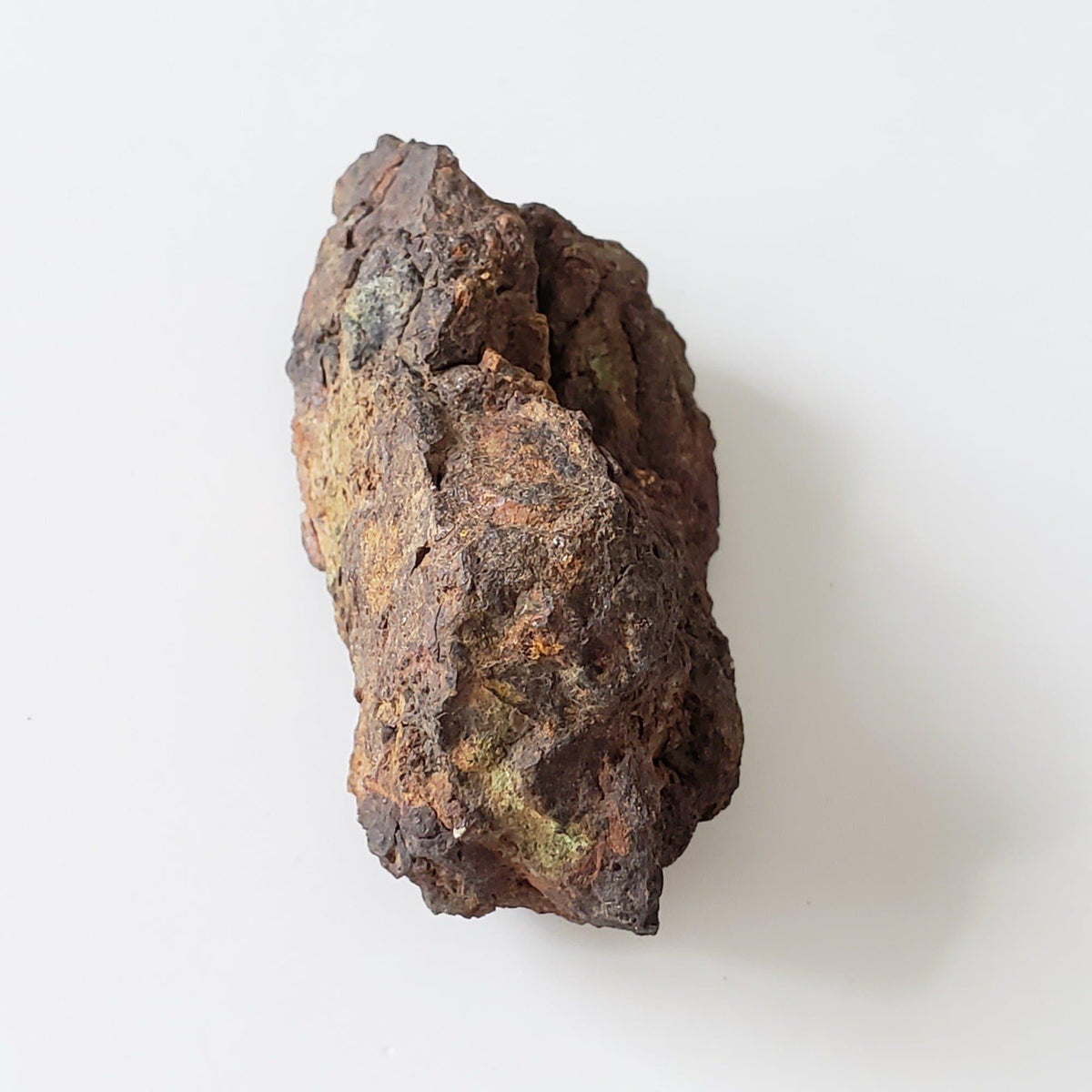  Vaca Muerta Meteorite | 42.68 Grams | Individual | Mesosiderite A1 | Chile | SO24 2
