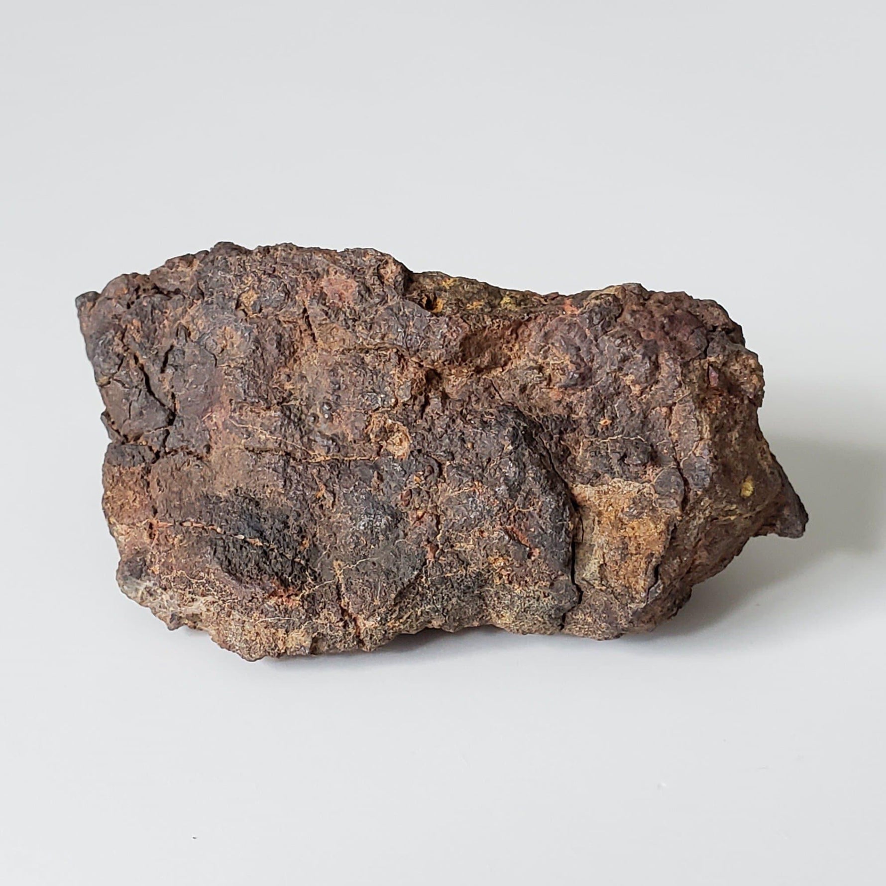  Vaca Muerta Meteorite | 42.68 Grams | Individual | Mesosiderite A1 | Chile | SO24 4