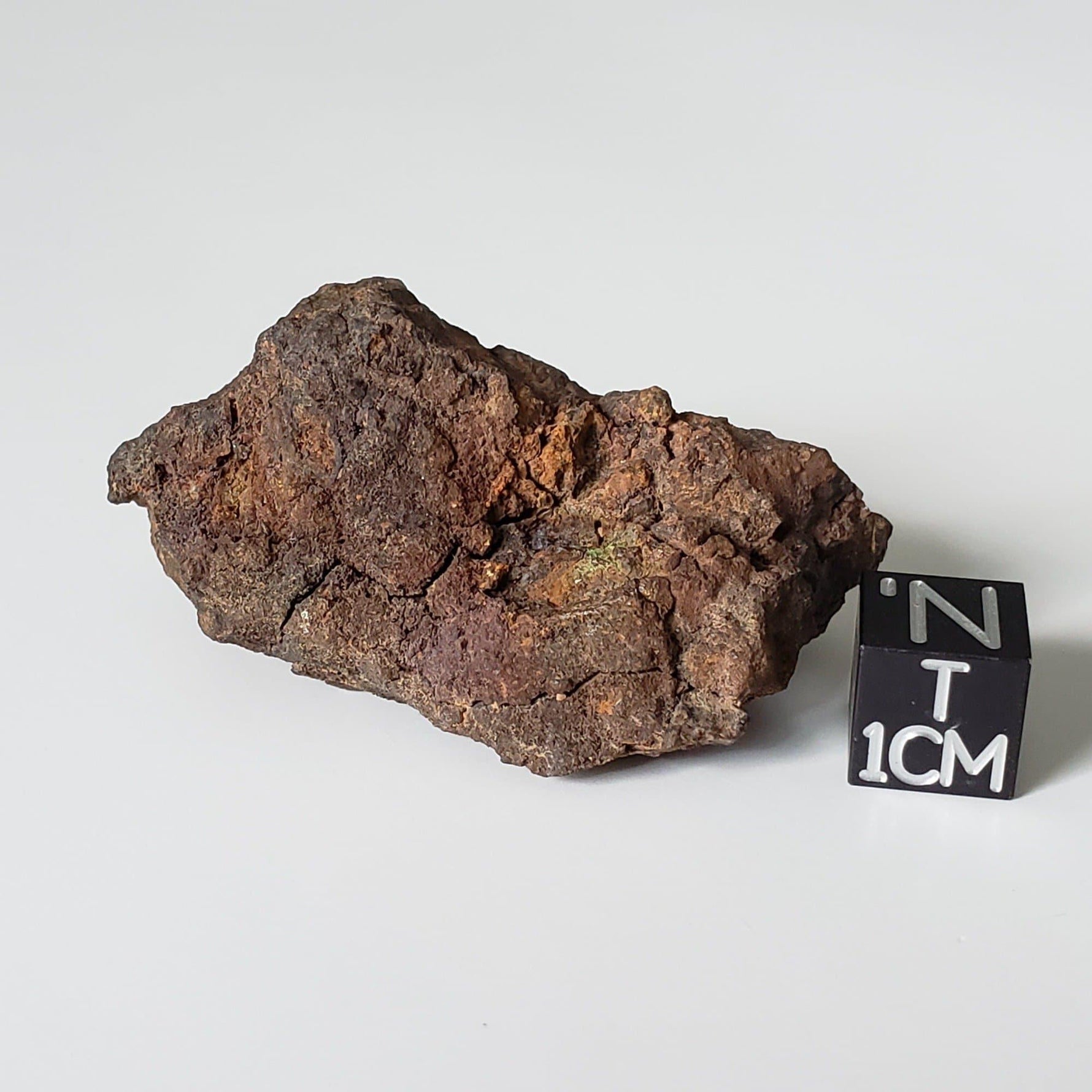  Vaca Muerta Meteorite | 42.68 Grams | Individual | Mesosiderite A1 | Chile | SO24 1