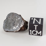  Vaca Muerta Meteorite | 5.62 Gr | End Cut | Mesosiderite A1 | Chile 