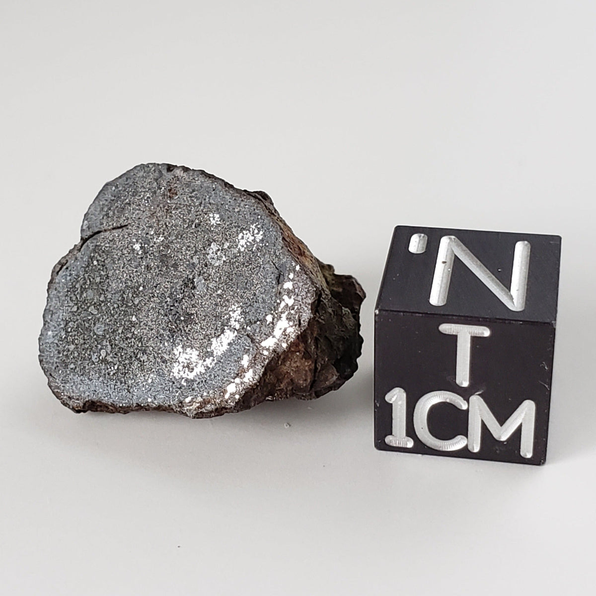  Vaca Muerta Meteorite | 5.62 Gr | End Cut | Mesosiderite A1 | Chile 