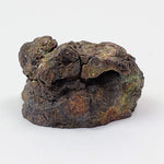  Vaca Muerta Meteorite | 5.62 Gr | End Cut | Mesosiderite A1 | Chile 2