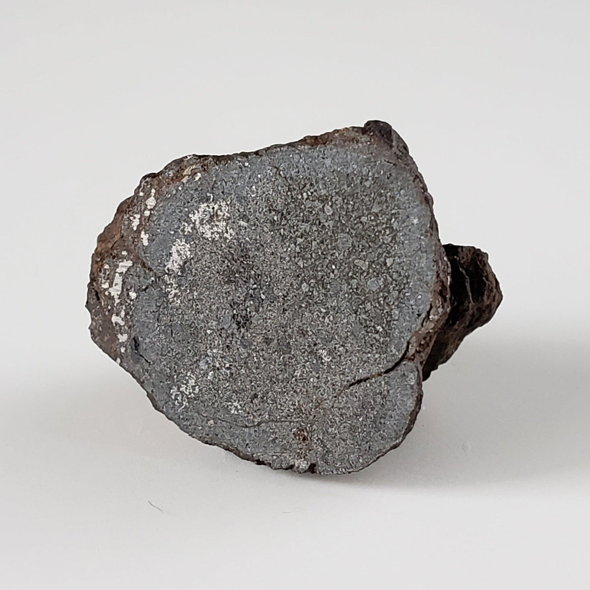  Vaca Muerta Meteorite | 5.62 Gr | End Cut | Mesosiderite A1 | Chile 3