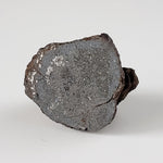  Vaca Muerta Meteorite | 5.62 Gr | End Cut | Mesosiderite A1 | Chile 3