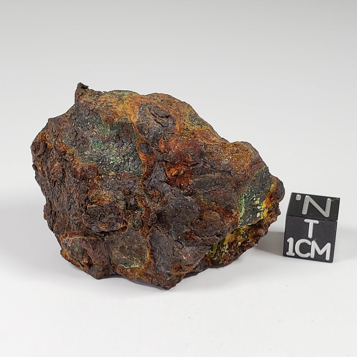  Vaca Muerta Meteorite | 84.5 Grams | Individual | Mesosiderite A1 | Chile | SO24 