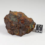  Vaca Muerta Meteorite | 84.5 Grams | Individual | Mesosiderite A1 | Chile | SO24 