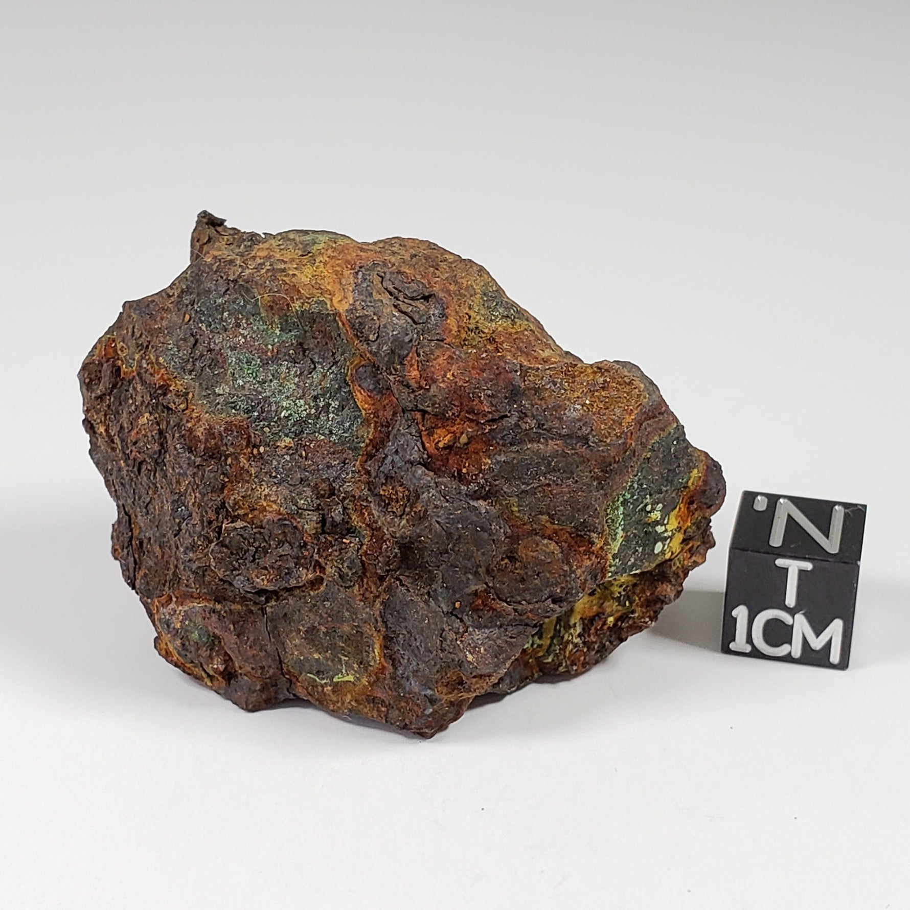 Vaca Muerta Meteorite | 84.5 Grams | Individual | Mesosiderite A1 | Chile | SO24 